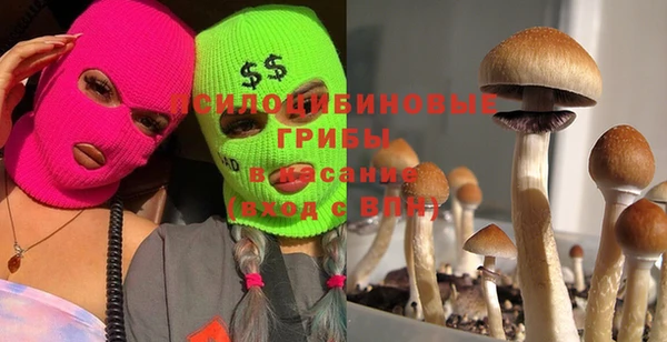 кристаллы Верея