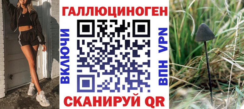 Псилоцибиновые грибы GOLDEN TEACHER  shop официальный сайт  Карачаевск 