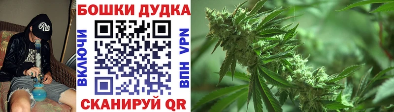 OMG как войти Карачаевск Шишки марихуана марихуана где можно купить наркотик